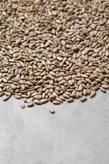 sunflower seeds on rustic background