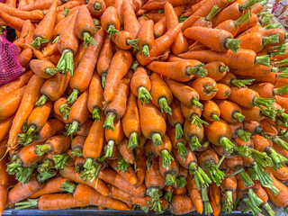 Heap of carrots for sale at farmer's market