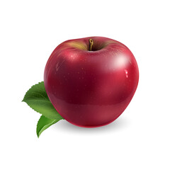 Red apple with leaves on white background.