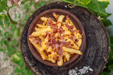 French wing potatoes with chorizo and extra cheese in nature