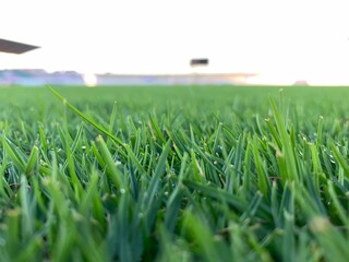 Green grass soccer field background , sport summer background
