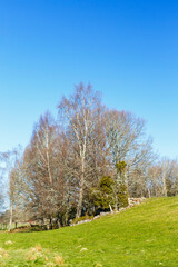 Fototapeta na wymiar Rural landscape view at spring