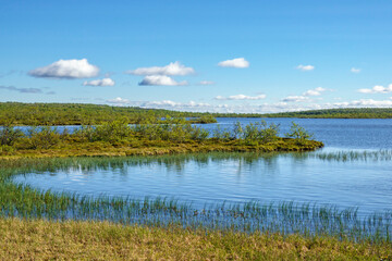 Shore at a lake on a mountain heath