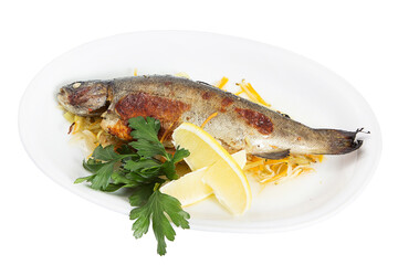 Restaurant serving concept.Sea food. Sea bass baked on the grill. Isolated.