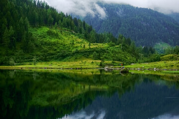 green reflection in a mountain lake from the mountains