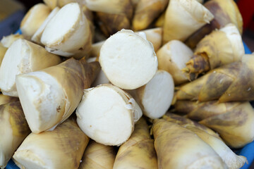 Fresh bamboo shoots from nature forest for sale in the local market.