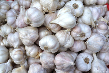 Whole fresh garlic selling in the farmer market stall.