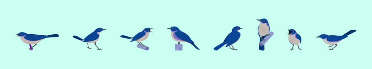 set of bird nightingale cartoon icon design template with various models. vector illustration isolated on blue background