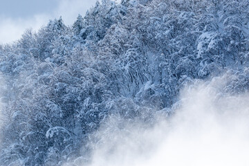 abundant snowfall climate change italy