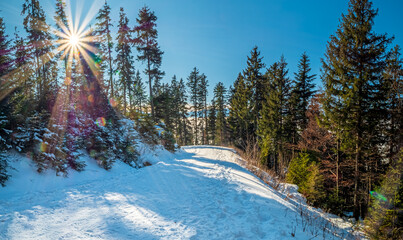 Snow landscape at the forest path to the Jochberg mountain