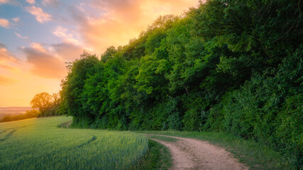 Feldweg am Waldrand zum Sonnenuntergang im Sommer