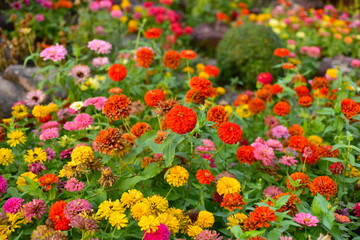 Spring Formal Garden. Beautiful garden of colorful flowers.Landscaped Formal Garden. Park. Beautiful Garden	