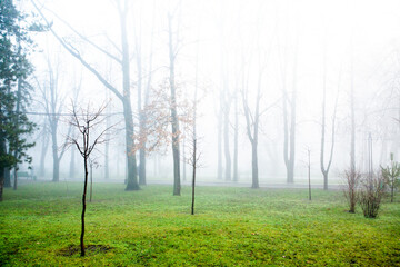 Obraz na płótnie Canvas A beautiful foggy winter morning in Chisinau Moldova.