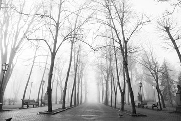 A beautiful foggy winter morning in Chisinau Moldova.