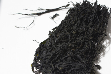 Dry seaweed isolated white background.