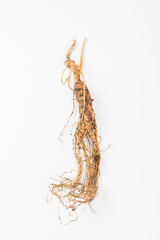 Chinese medicine ginseng on white background