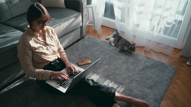 A beautiful middle-aged woman in glasses working on her laptop sitting on the carpet in her living room while her playful cat is lying on a couch and playing with a toy.