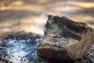 Naklejka premium Burnt out Fire Woode with Ashe and Fire Resedue