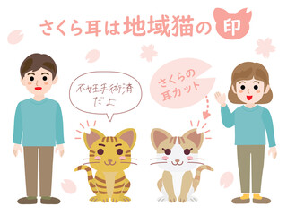 Fototapeta premium さくら耳は地域猫の印