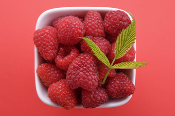 Bowl of fresh raspberries with green leaves on blue background. Top view