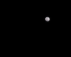 The Shinning Bright in the Night sky