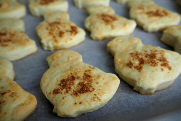 ready made cottage cheese cookies in the form of chicken sprinkled with melon cinnamon only after the oven side view
