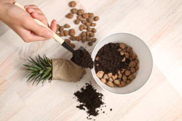 Home plant transplant tools, soil, drainage, shovel rake, pot. Succulent plant, cactus, home tree care. Close-up top view.