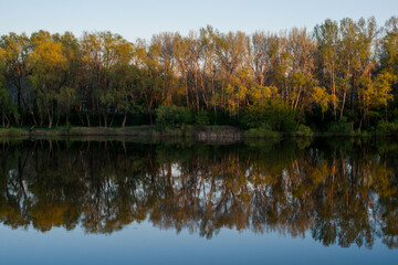 sandy birch of the Ural river in the sunset