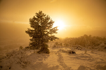 Naklejka na ściany i meble Golden sunset over Snowy Landscape