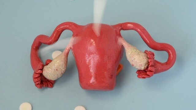Pharmaceutical pills and capsules falling from above on anatomical shape of uterus with ovaries, symbolizing treatment of uterus or ovaries from diseases, impact of drugs on reproductive function