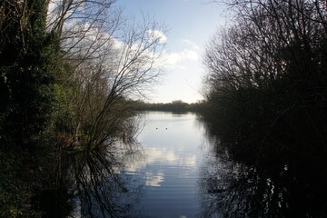 Lakes of Milton Country Park in Cambridge UK in a sunny day
