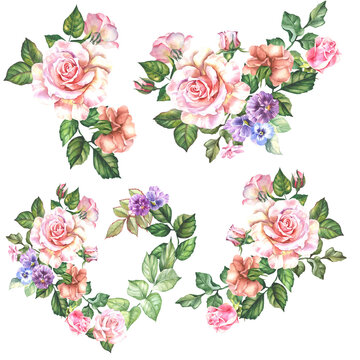 set of roses illustrators.watercolor flowers