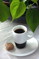 Espresso und Toffee mit Philodendron