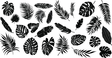 palm leaves set pattern black and white vector illustration  © Снежана Дашкевич