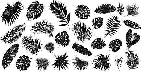 palm leaves set pattern black and white vector illustration  © Снежана Дашкевич
