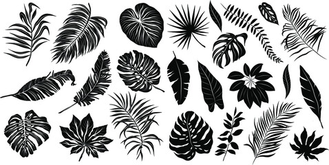 palm leaves set pattern black and white vector illustration 