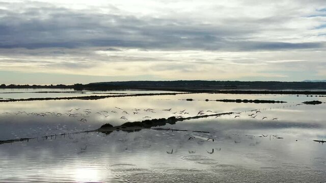 Survol des salins et des flamands roses dans le midi