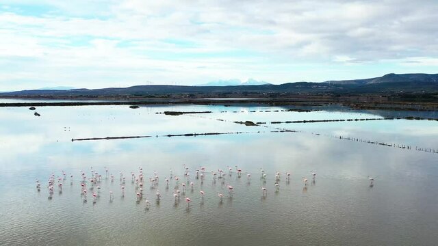 Survol des salins et des flamands roses dans le midi