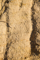 Extreme macro close up of surface Rock pattern. Stone texture and background. Rock Abstract Background