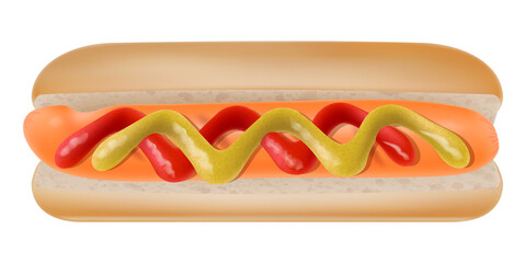 Hot dog with ketchup and mustard isolated on white background. Vector illustration.