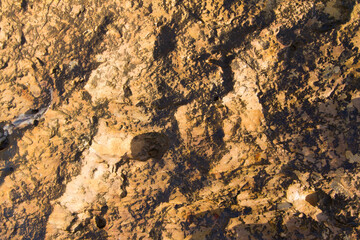 Extreme macro close up of surface Rock pattern. Stone texture and background. Rock Abstract Background