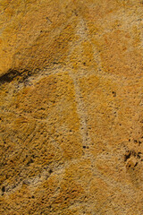 Extreme macro close up of surface Rock pattern. Stone texture and background. Rock Abstract Background
