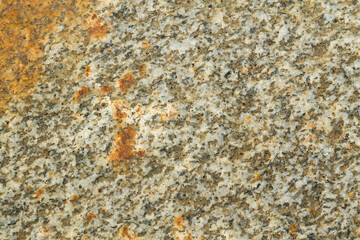 Close up view of a grey flat stone speckled with colourful lichens and ivy growing. Colorful pattern and texture surface. Abstract outdoor natural view as a background.