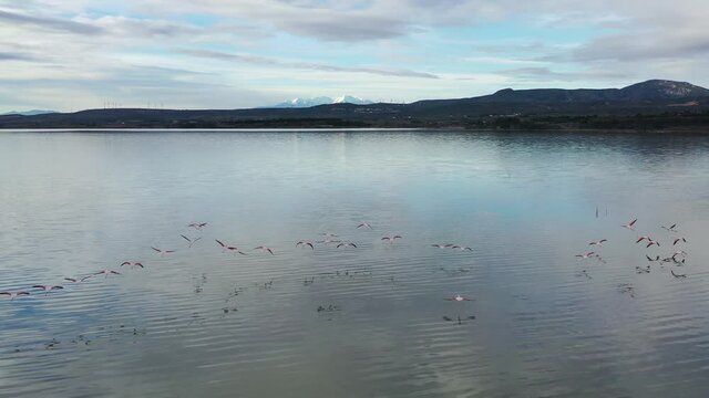Survol des salins et des flamands roses dans le midi