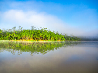 Beautiful view in the abundant natural water sources with green trees in the forest reflecting the water. And there is a mist floating on the water surface in a bright morning with a blue sky.