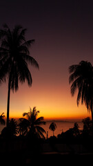 palm trees at sunset, Thailand Koh Samui