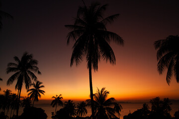 Fototapeta na wymiar palm trees at sunset, Thailand Koh Samui