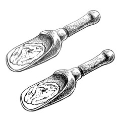 Chilli. Chilli whole, half and slice. Vector vintage hatching