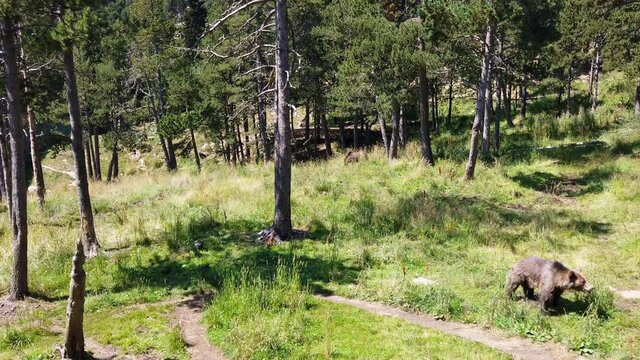 survol de Font-Romeu