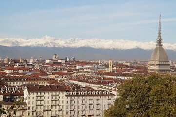 Fototapeta na wymiar Turin: panoramic view of the city, the Mole Antonelliana Tower and the Alps